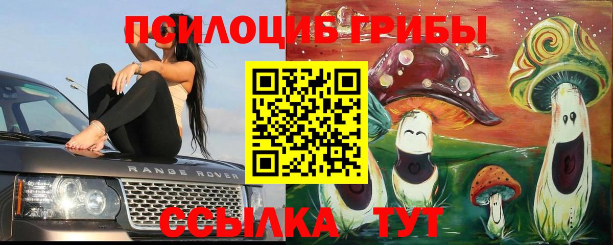 Михайловка  Псилоцибиновые грибы Psilocybe  Галлюциногенные грибы мухоморы  Вход с VPN 